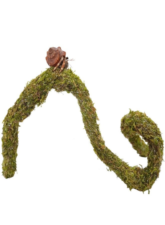 Begeterday 25 Inch Hermit Crab Climbing Toys, Bendable Hermit Crab Supplies, Ideal Hermit Crab Habitat Tank Terrarium Accessories - Image 1